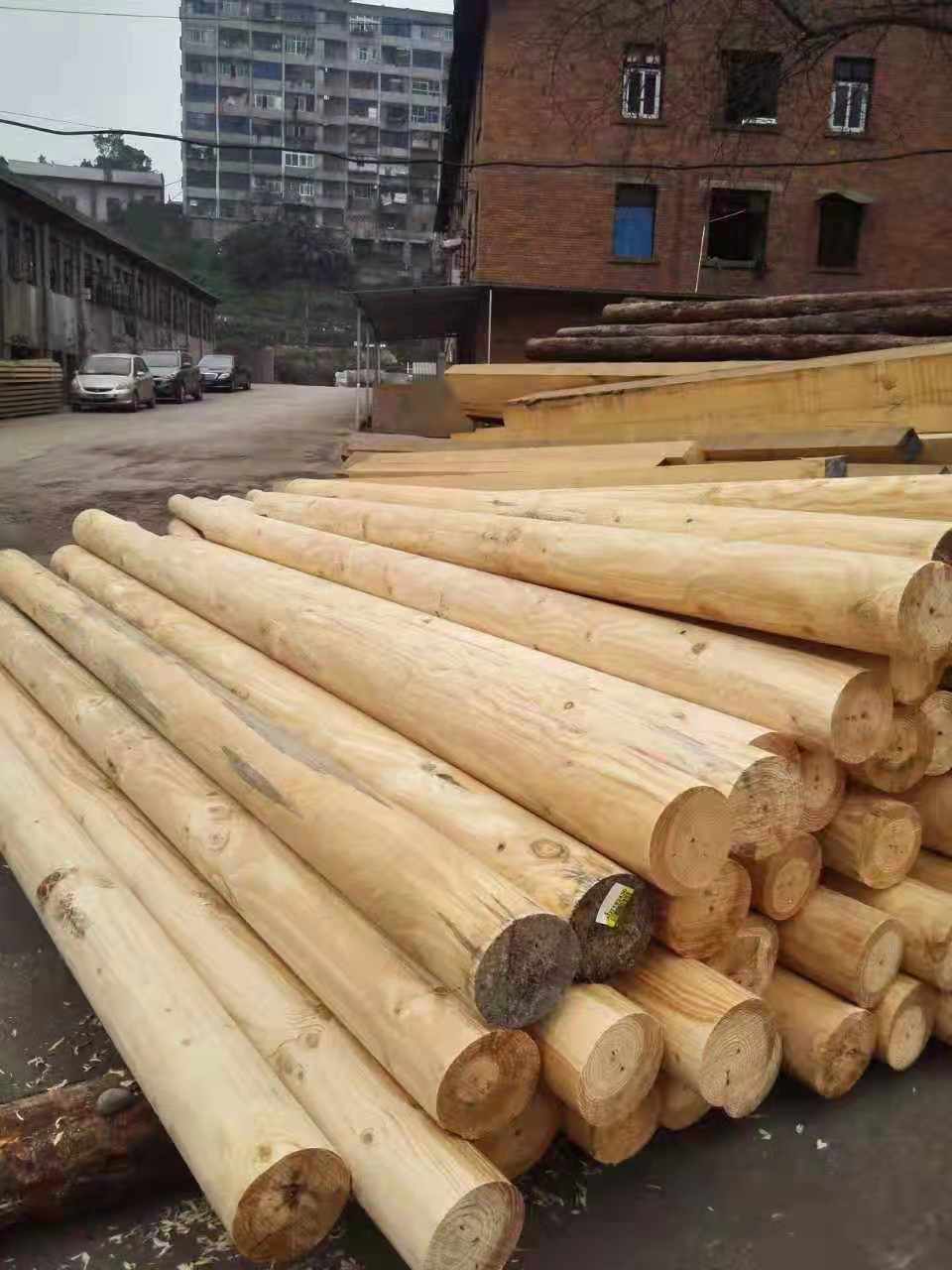 良材天成，栋梁之选——云南特色古建木材档案